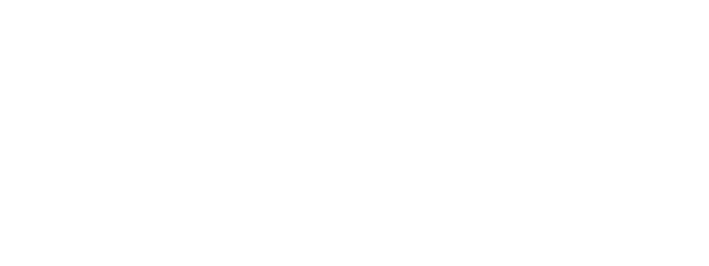Data Sciences Inc.