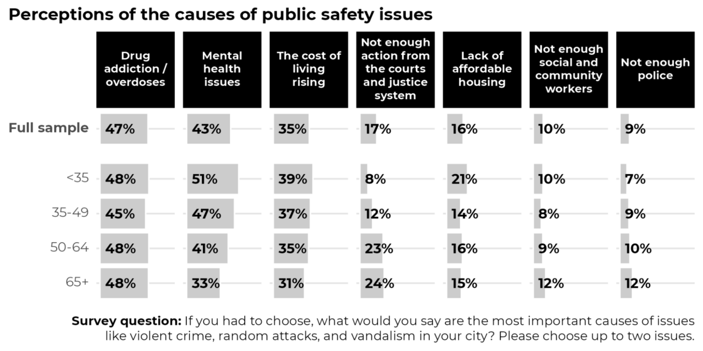 Data visualization of perceptions of the causes of public safety issues among different age groups.