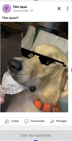 Screenshot of Meta advertisement titled “Fête Apex” with a photo of a golden retriever wearing an orange collar with pixelated sunglasses superimposed over the dog’s eyes